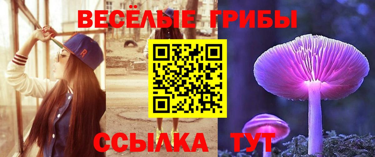 Новодвинск  цены наркотик  Вход с VPN  Псилоцибиновые грибы Cubensis 